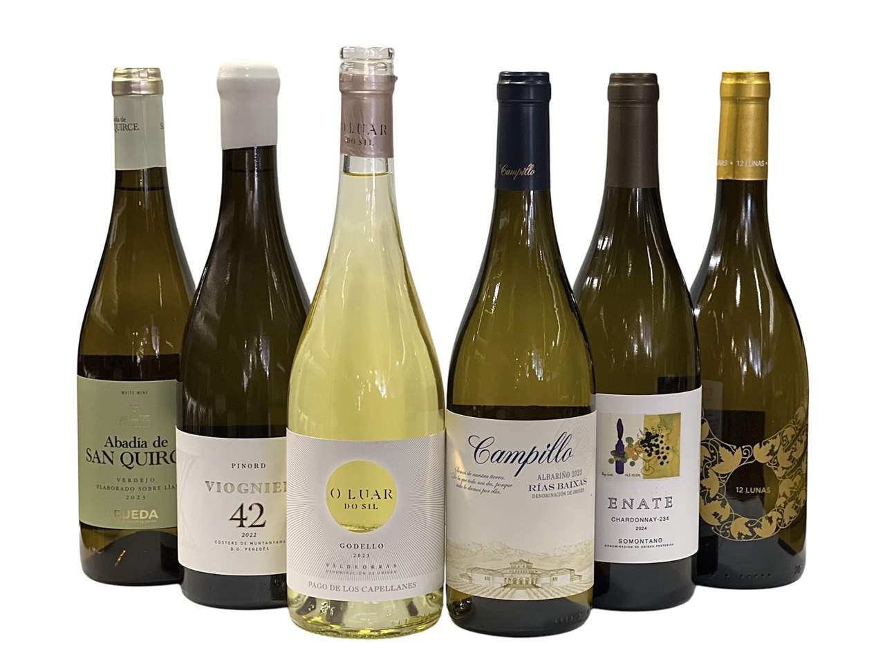 Set de Vinos Blancos (6 Botellas a un Gran Precio)