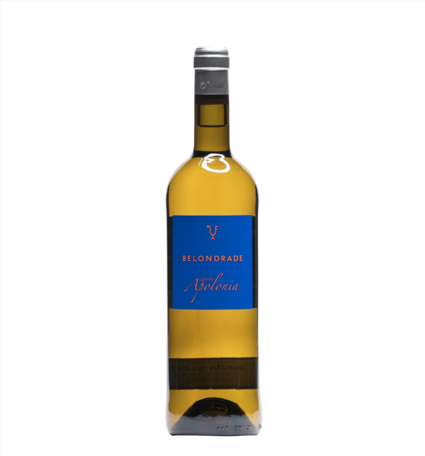 Photo of the product Quinta Apolonia Belondrade Verdejo