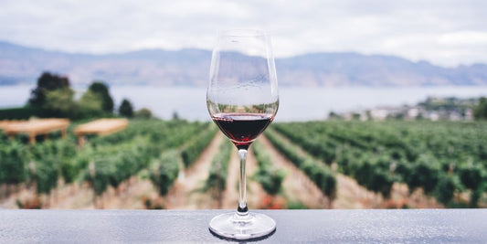 ¿Cómo se hace el vino?