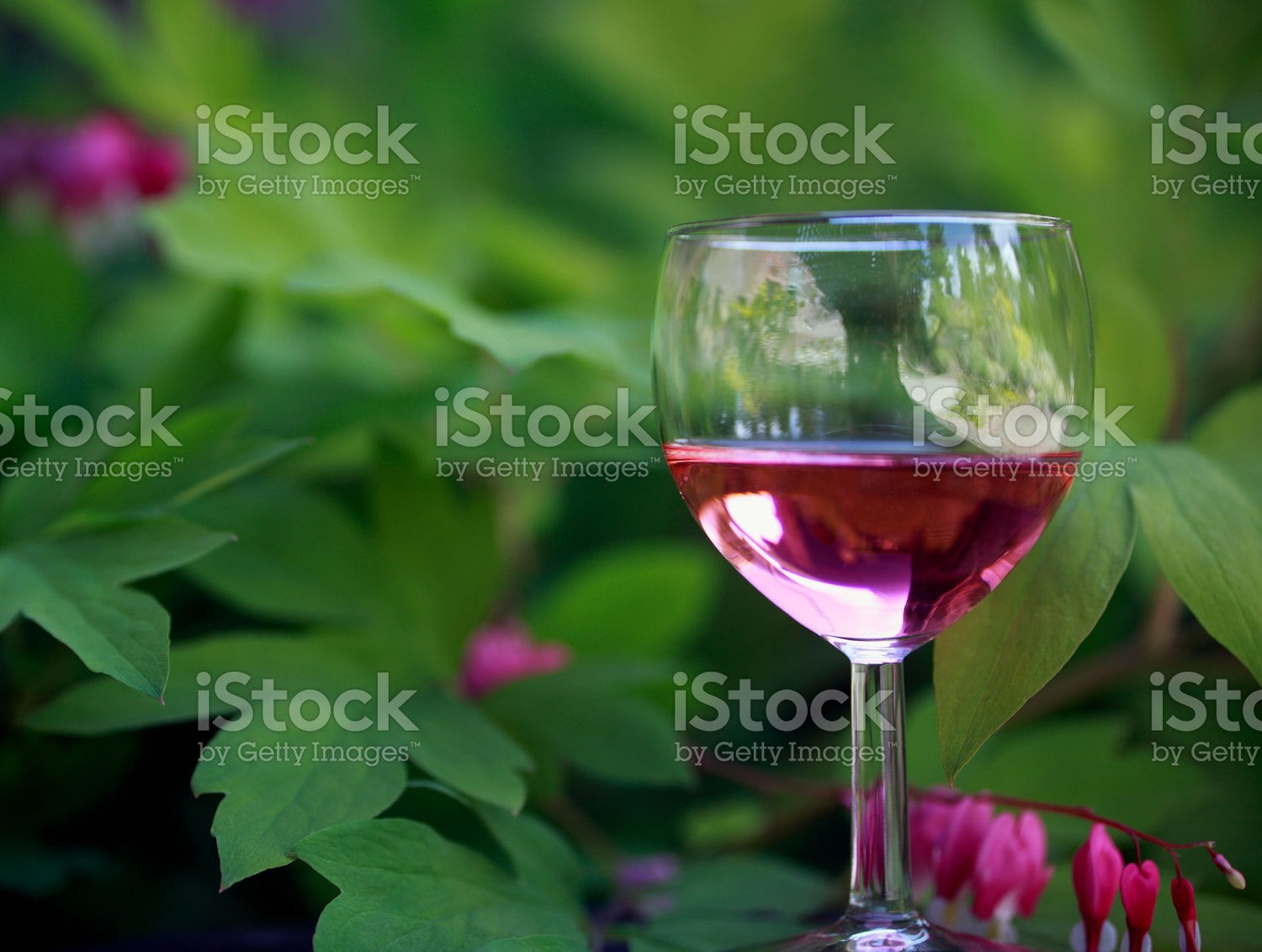 Vinos rosados