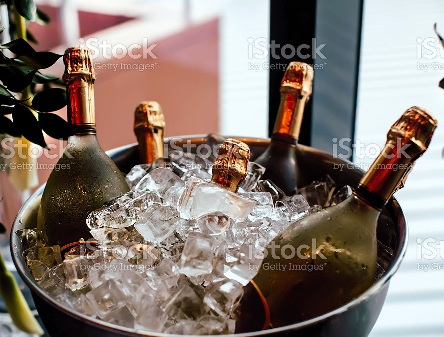 Vinos espumosos