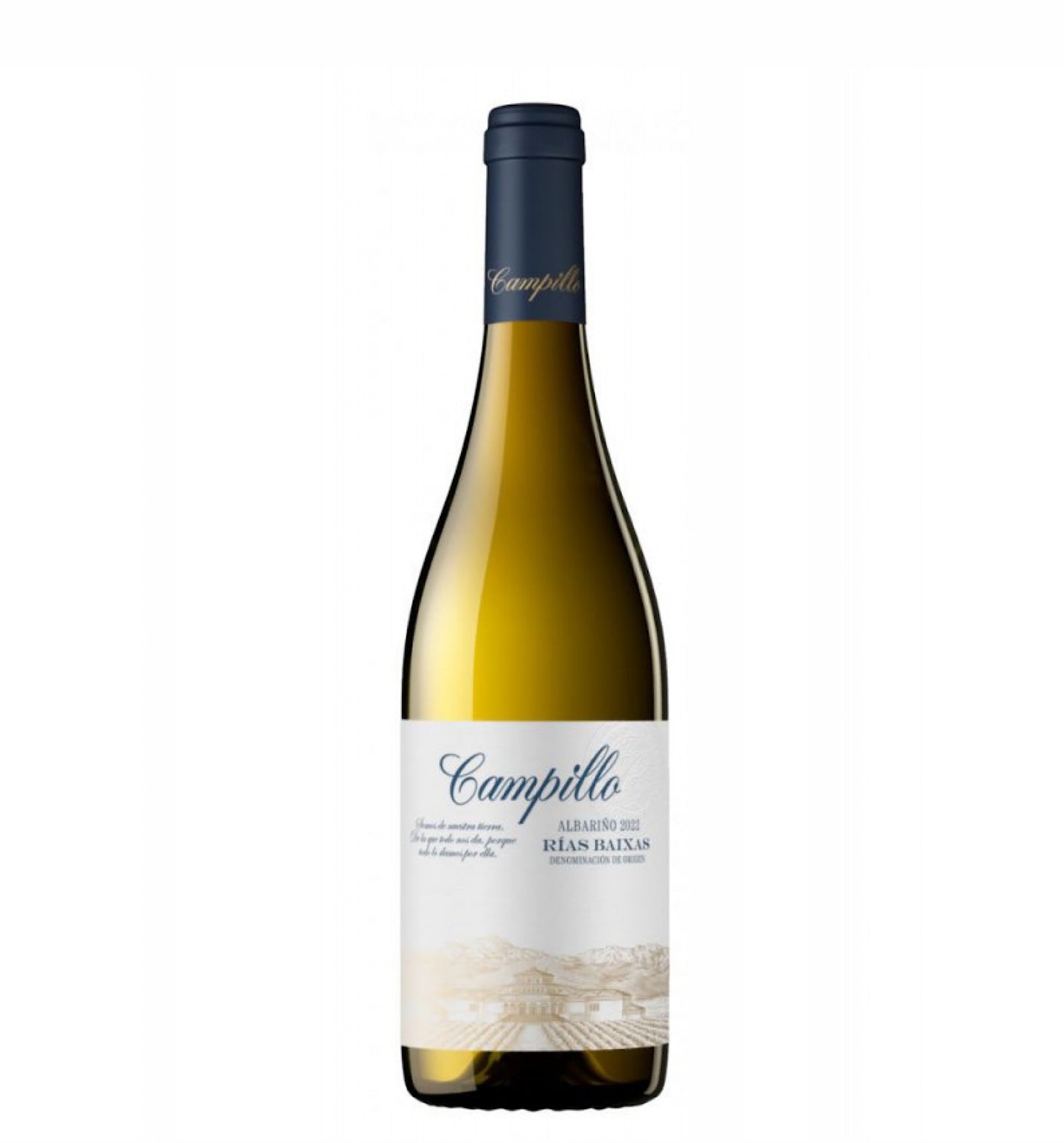 Photo of the product CAMPILLO ALBARIÑO 2022 Rias Baixas