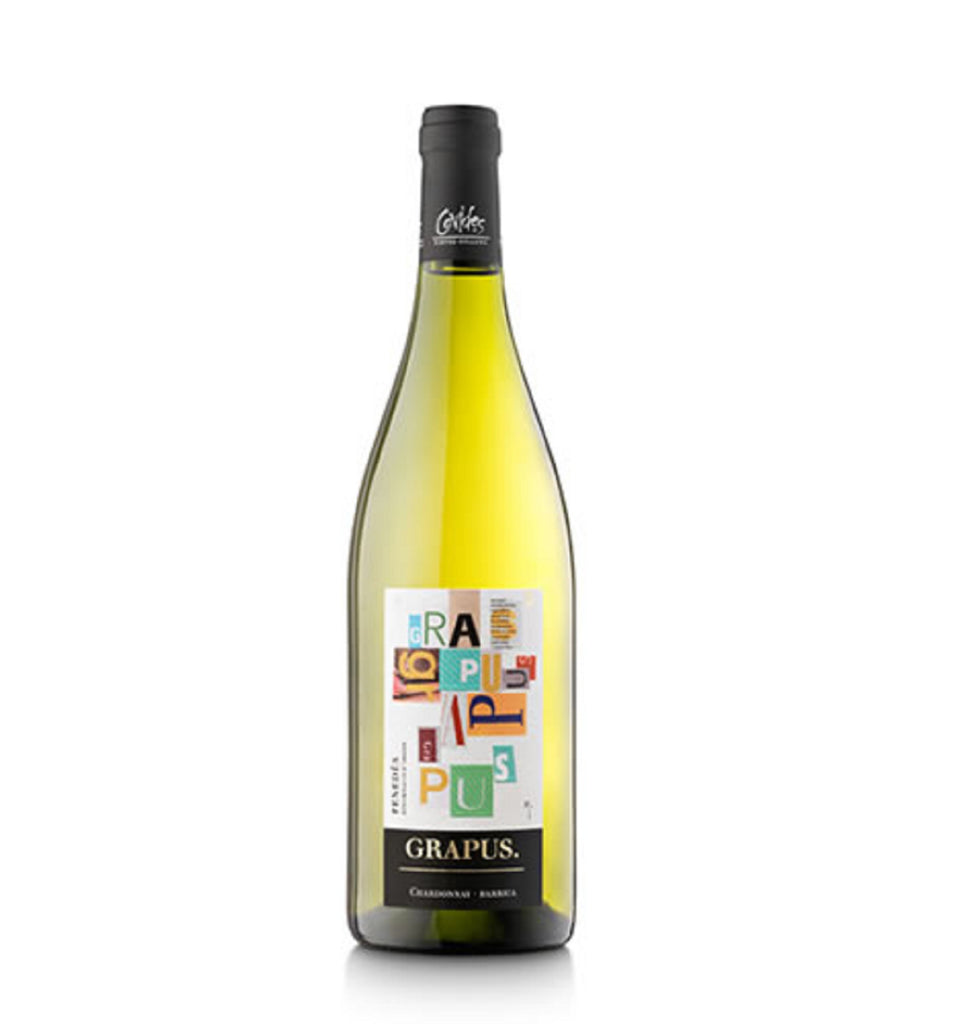 Photo of the product Grapus chardonnay barrica