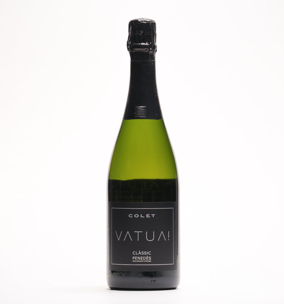 Photo of the product Colet Vatua Extra Brut Penedes